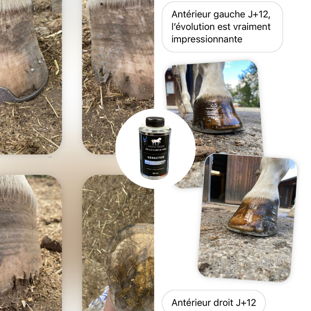Huile régénérante pour sabots Keractive