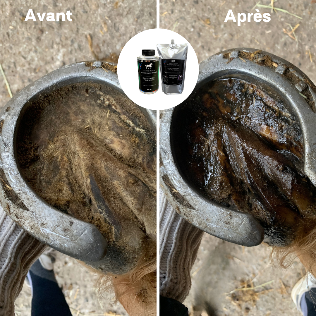 Huile naturelle pour sabots