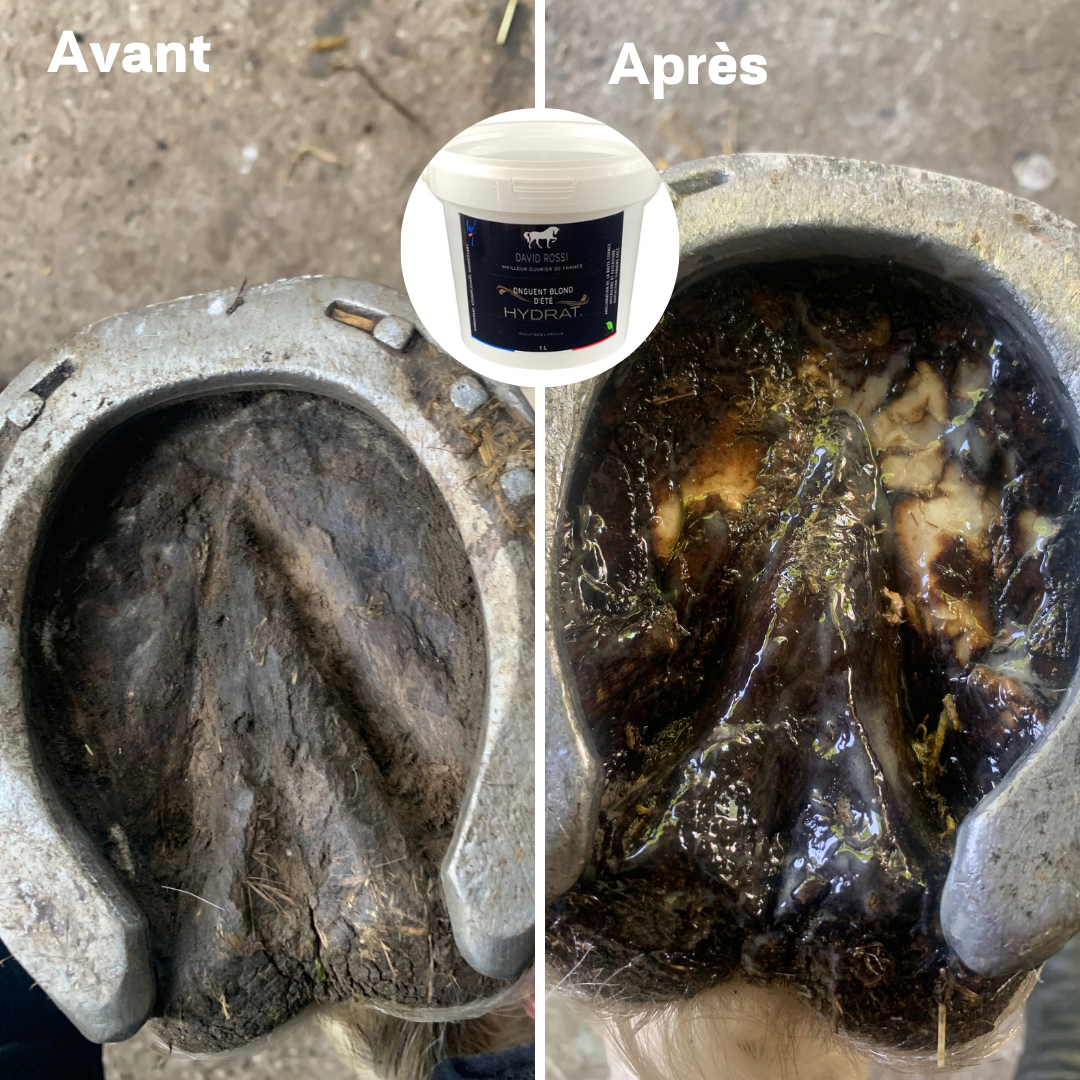 Onguent blond d'été HYDRAT