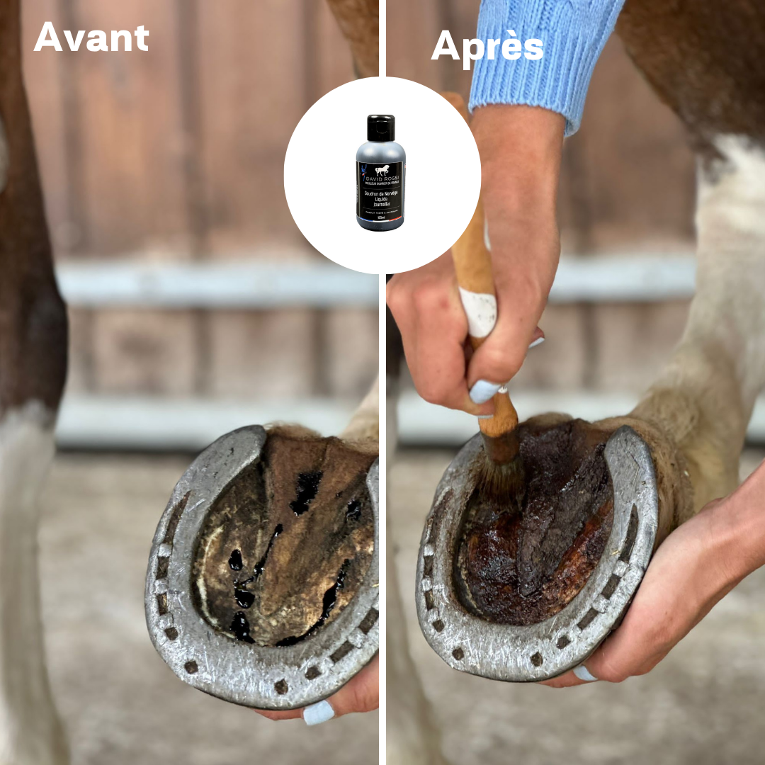 Goudron de Norvège liquide journalier