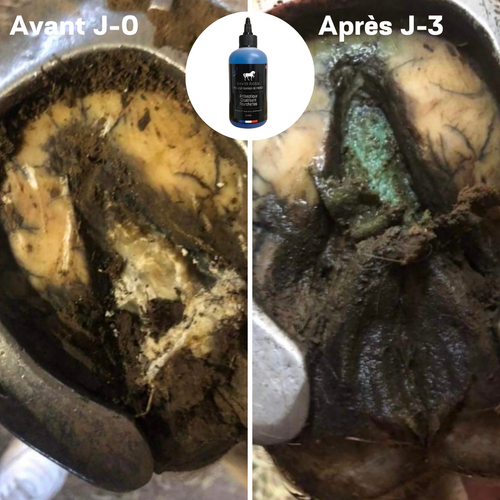 Antiseptique cicatrisant fourchettes