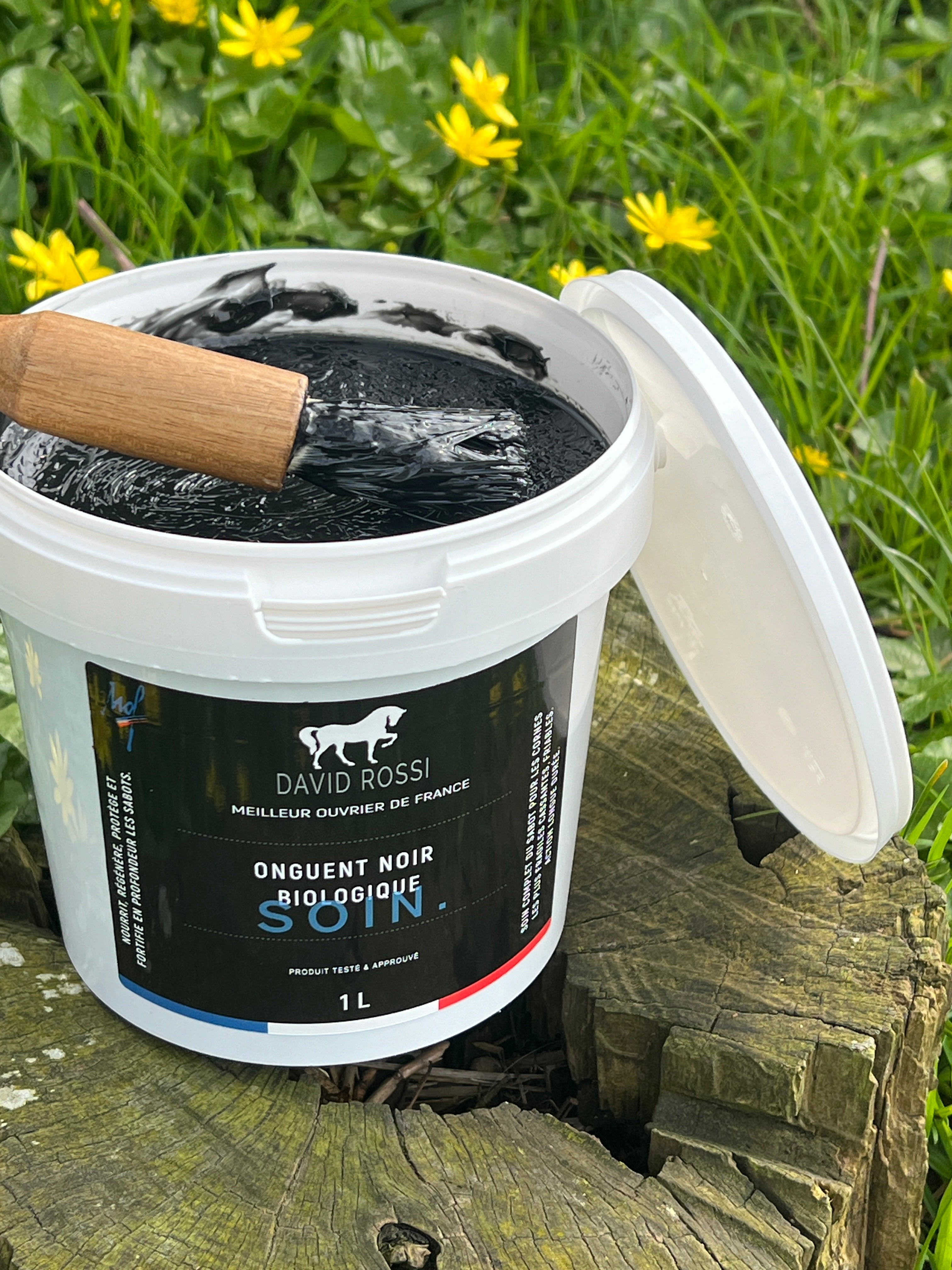 Onguent noir biologique soin