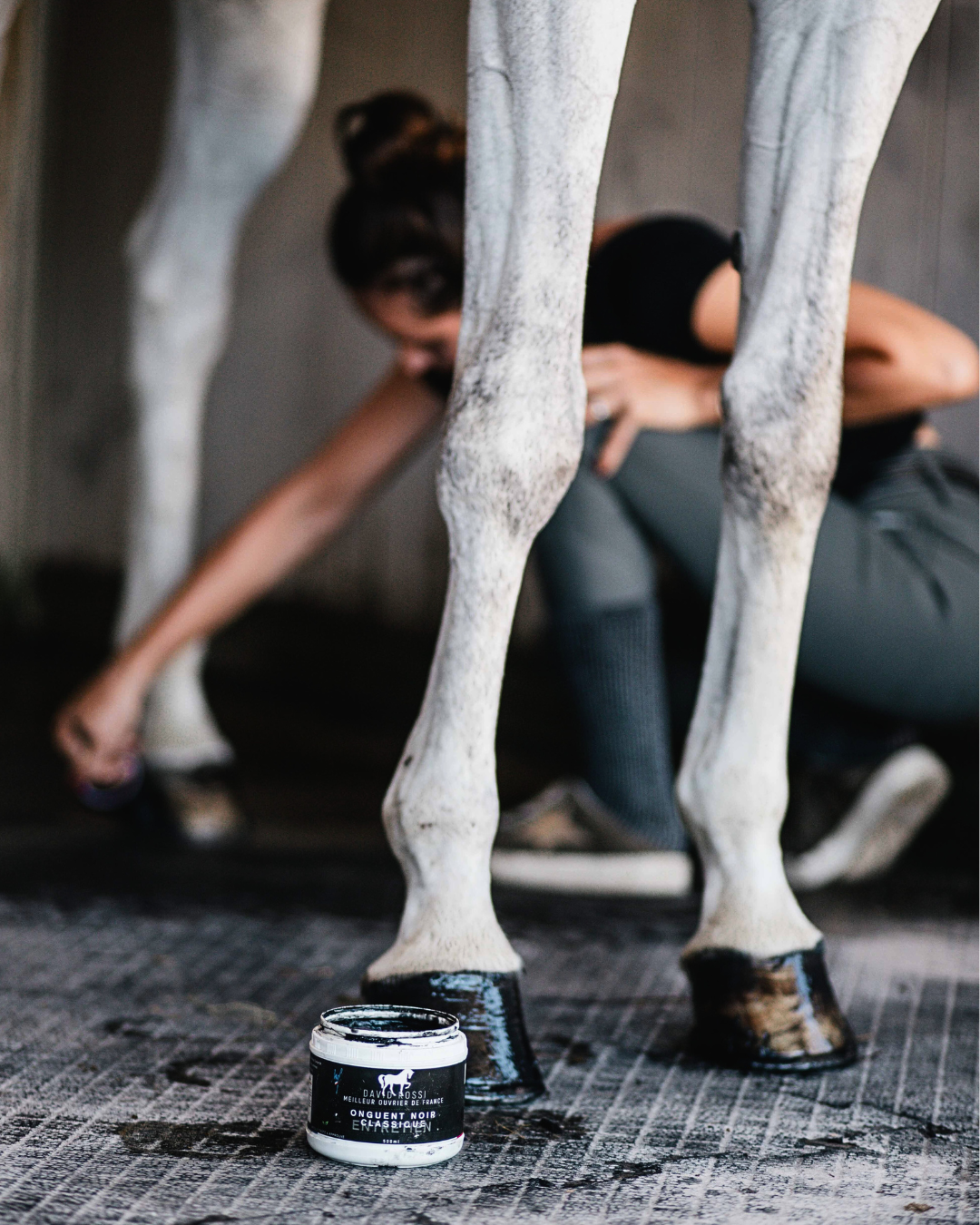 Onguent noir classique entretien