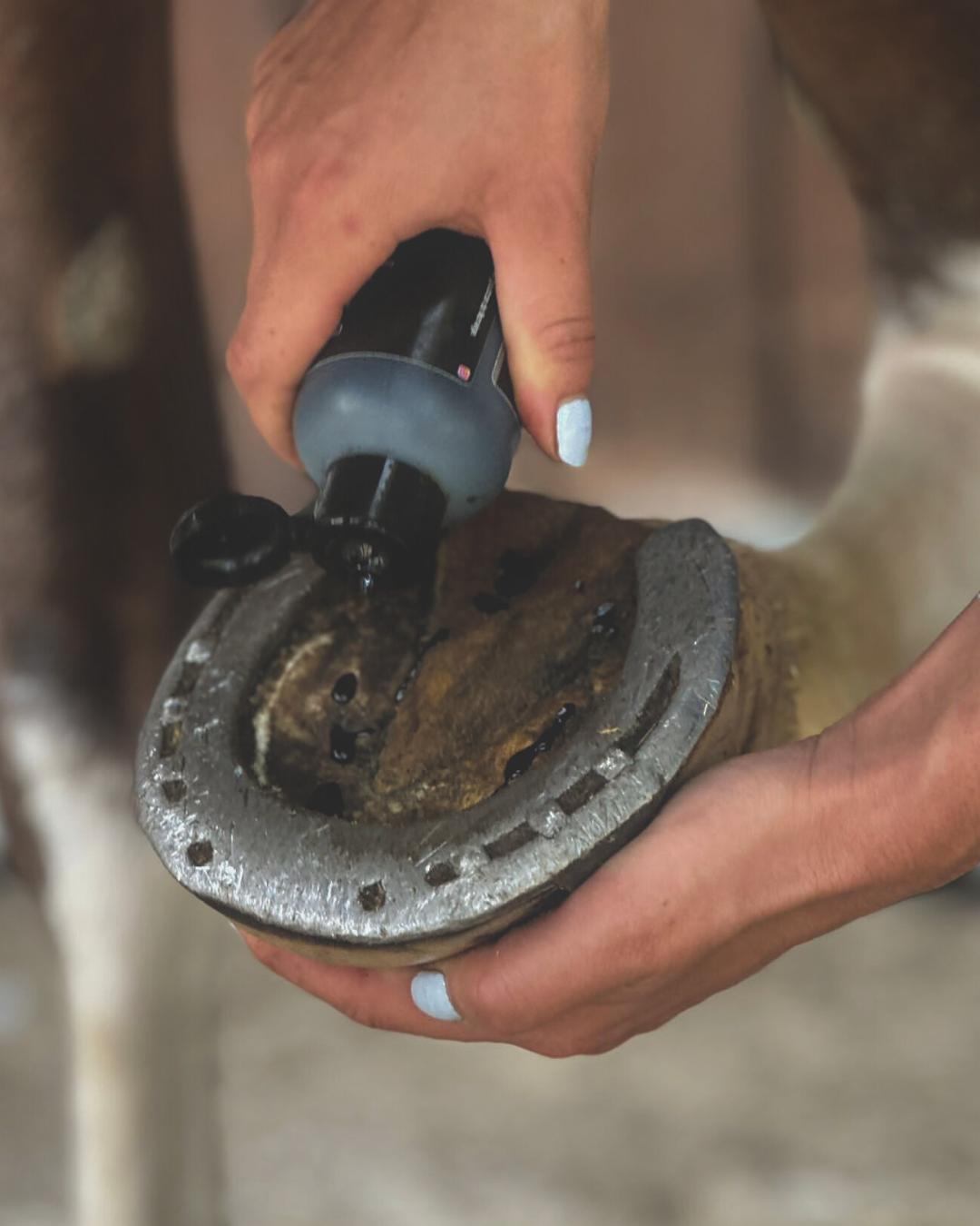 Goudron de Norvège liquide journalier