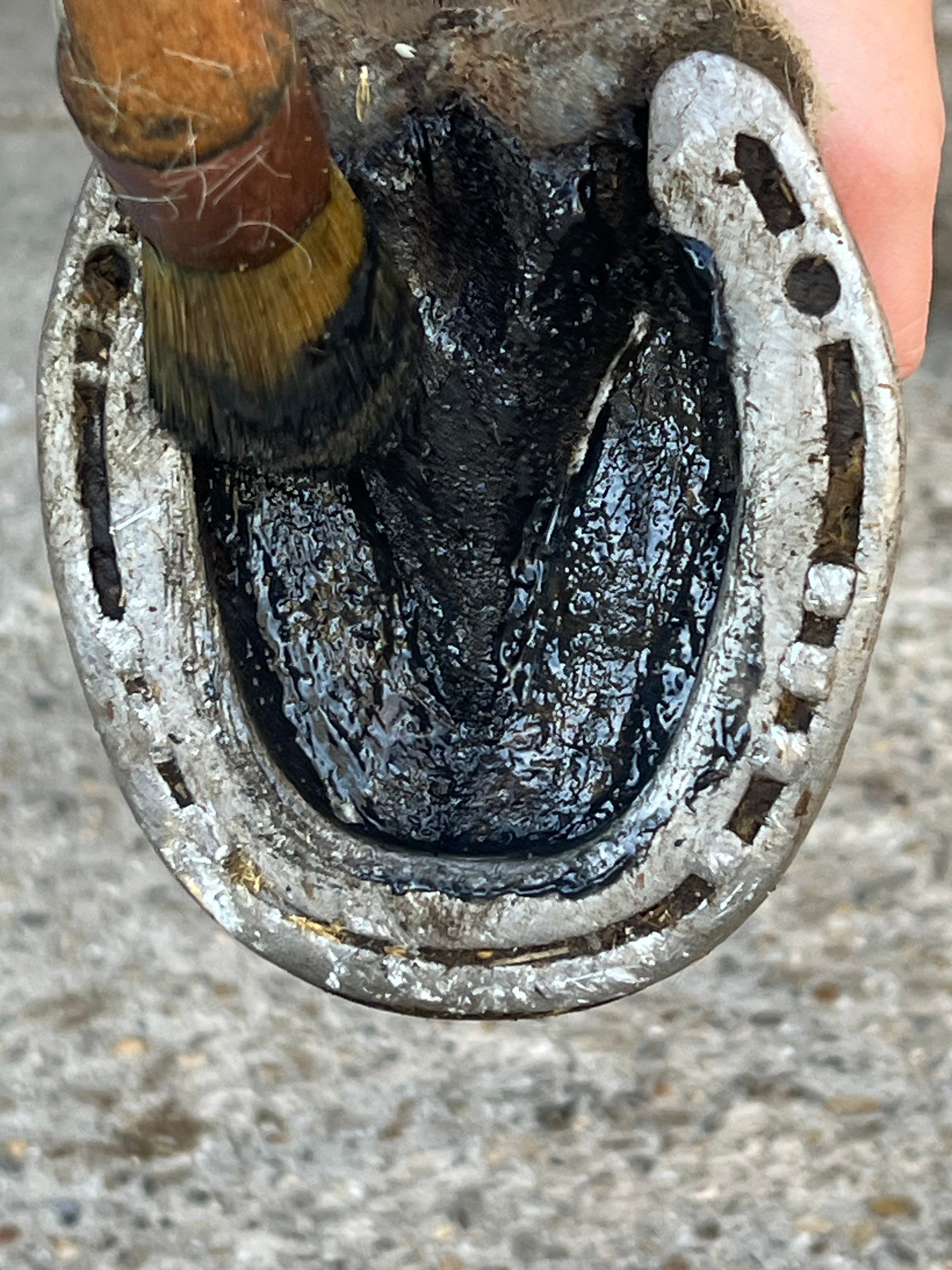 Onguent noir biologique soin