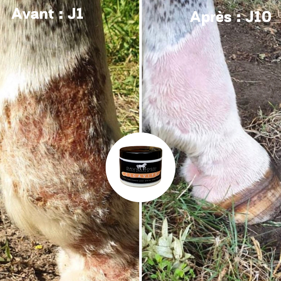 Crème soin réparatrice pour la peau CICAVITE